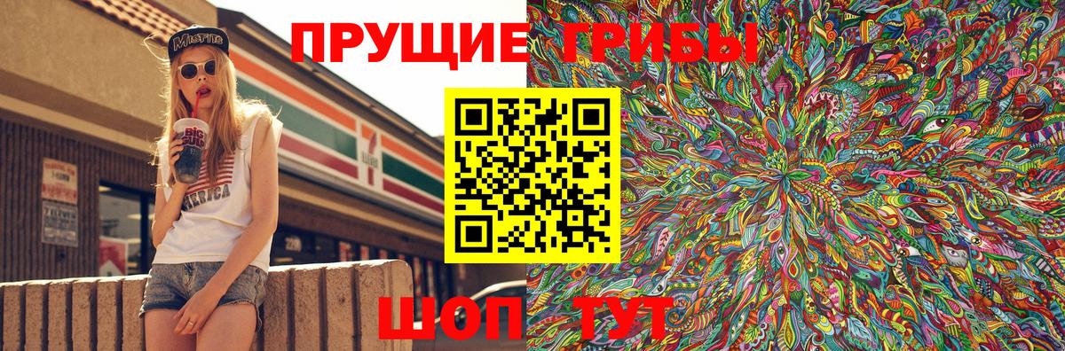 Псилоцибиновые грибы MAGIC MUSHROOMS  Вход с VPN  Алатырь  Псилоцибиновые грибы Psilocybine cubensis 